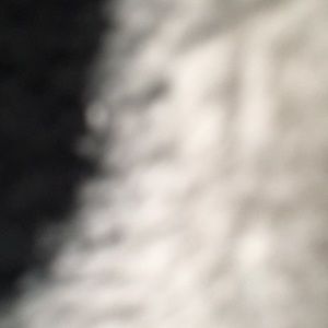 Meet your Posher, Rafael